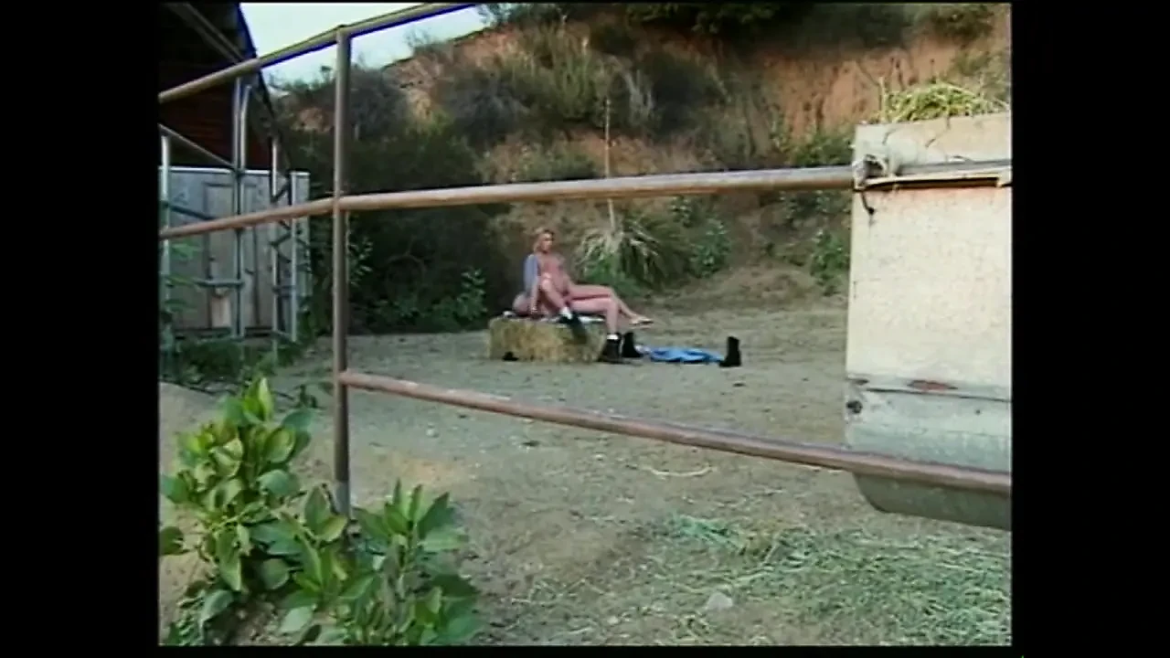 The Sex Specialist and Love