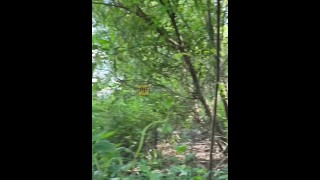 Risky outdoor bareback sex with this cute Asian boy.